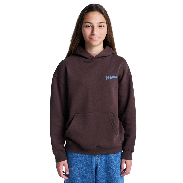 Element hoodie brown 2