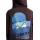 Element hoodie brown 3