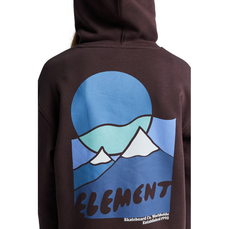 Element hoodie brown 3