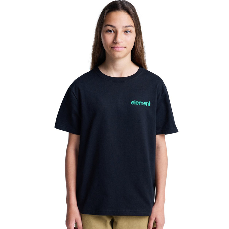 Element t-shirts black 2