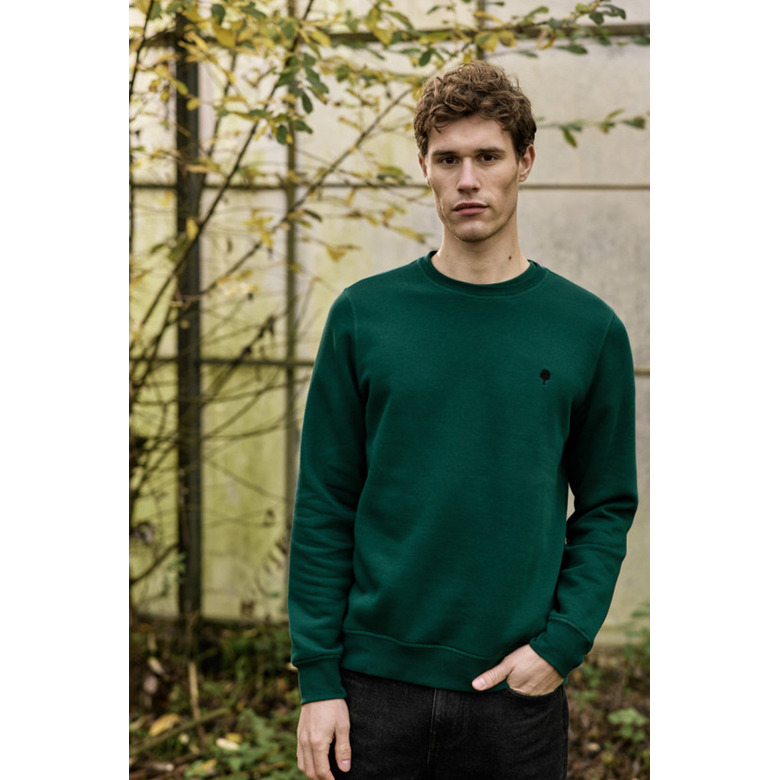 Faguo sweater green 2