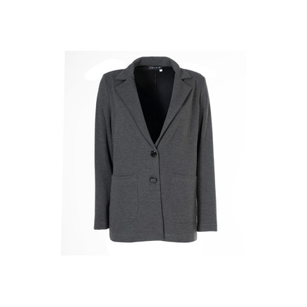 Agua blazer grey