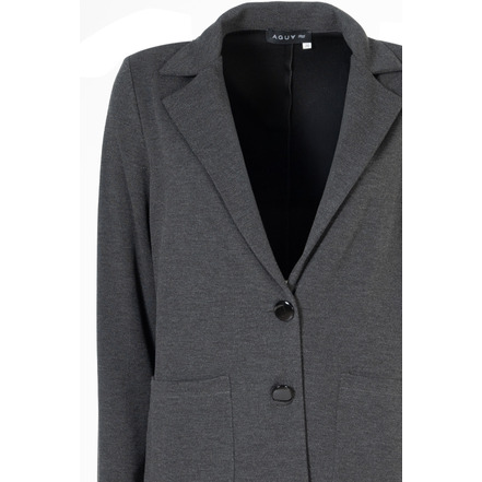 Agua blazer gris