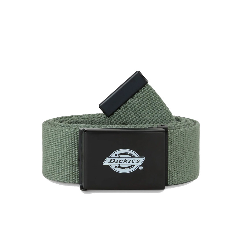 Dickies gürtel grÜn 1