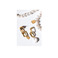 Murielle Perrotti ohrringe gold 1