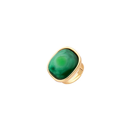 Les Cordes anneau vert