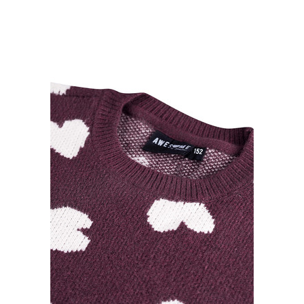 Someone Junior Meisjes trui bordeaux