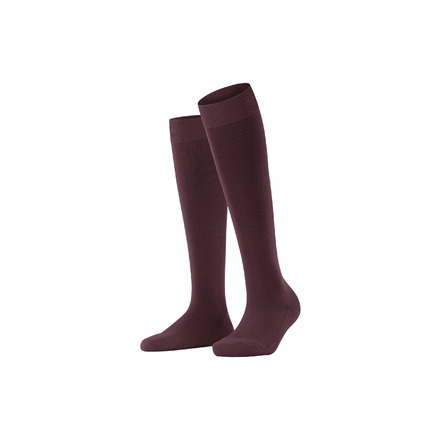 Falke socks bordeaux