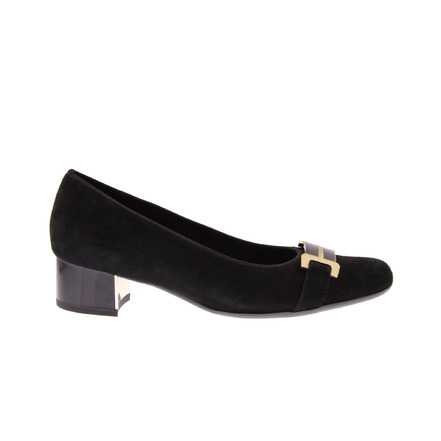 Ara pumps ---