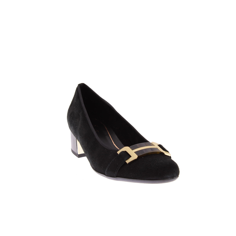 Ara pumps --- 2