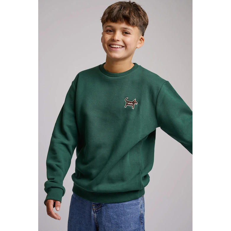 Antwrp sweater groen 2