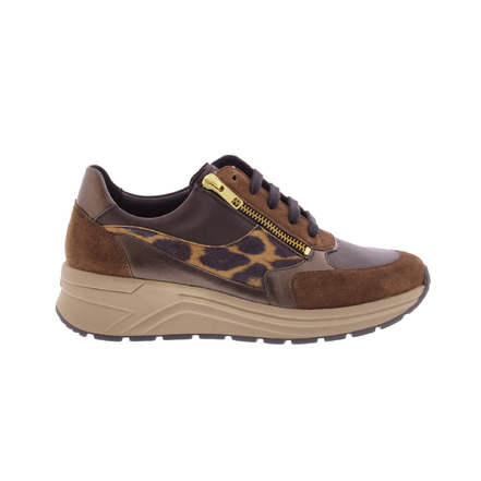 Solidus sneakers brown