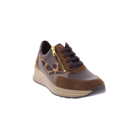 Solidus sneakers brown