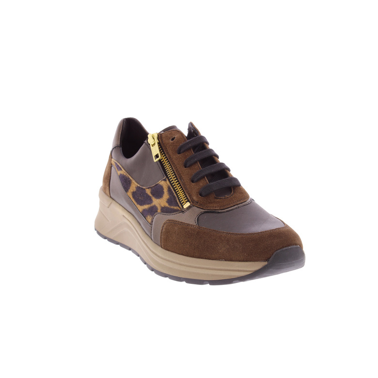 Solidus sneakers brown 2