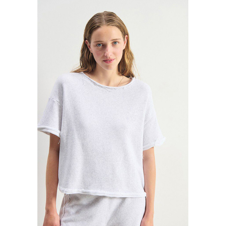 American Vintage t-shirt grau 2