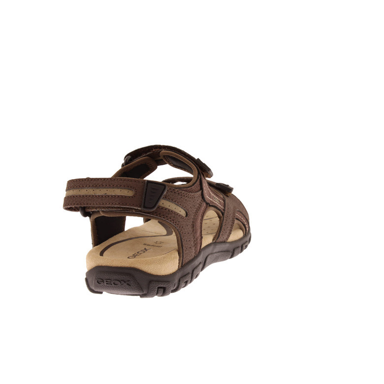 Geox sandalen bruin 4