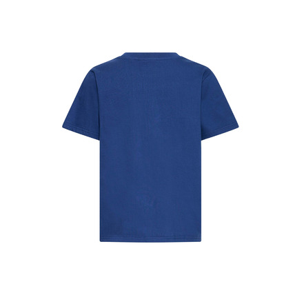 Ichi t-shirt blauw