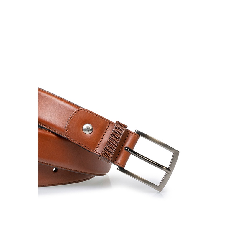 Floris Van Bommel riem cognac 2