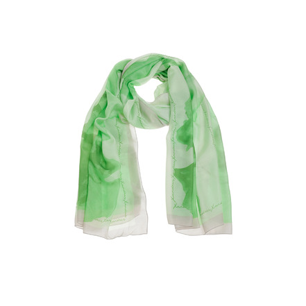 Xandres echarpe vert