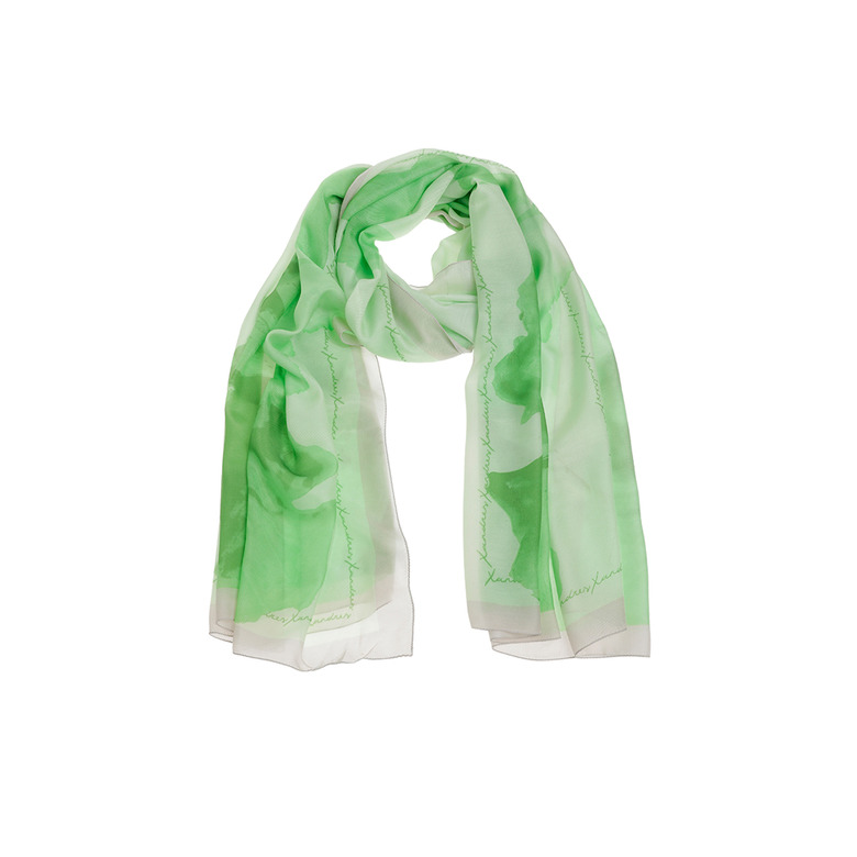 Xandres echarpe vert 1