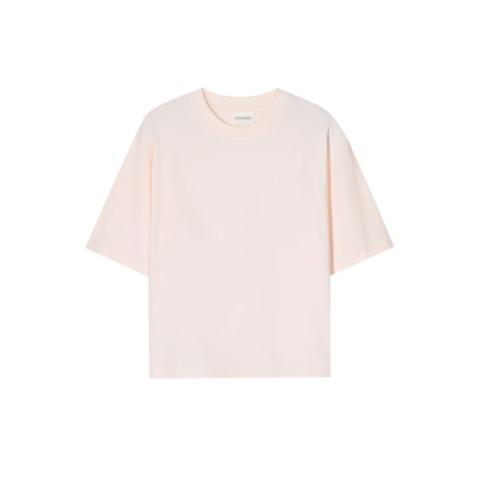 Closed t-shirt rose