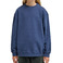 Element sweater bleu 2