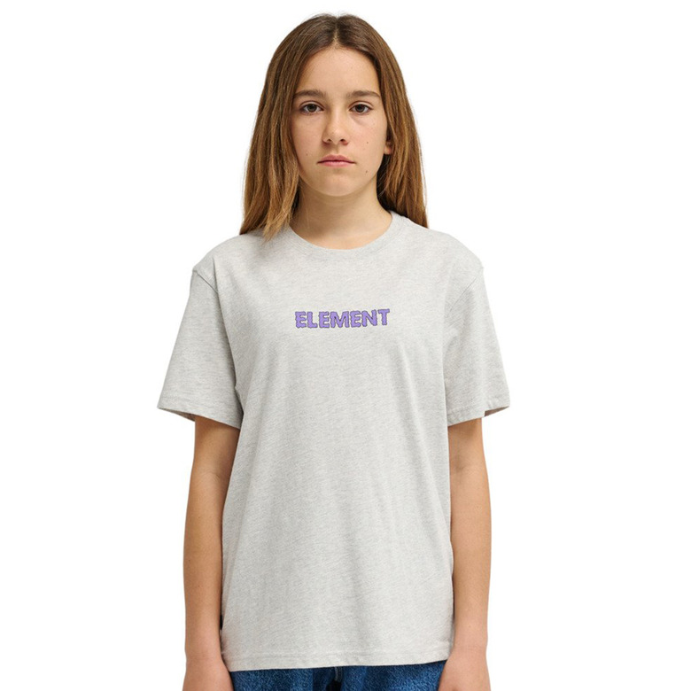 Element t-shirt gris 2