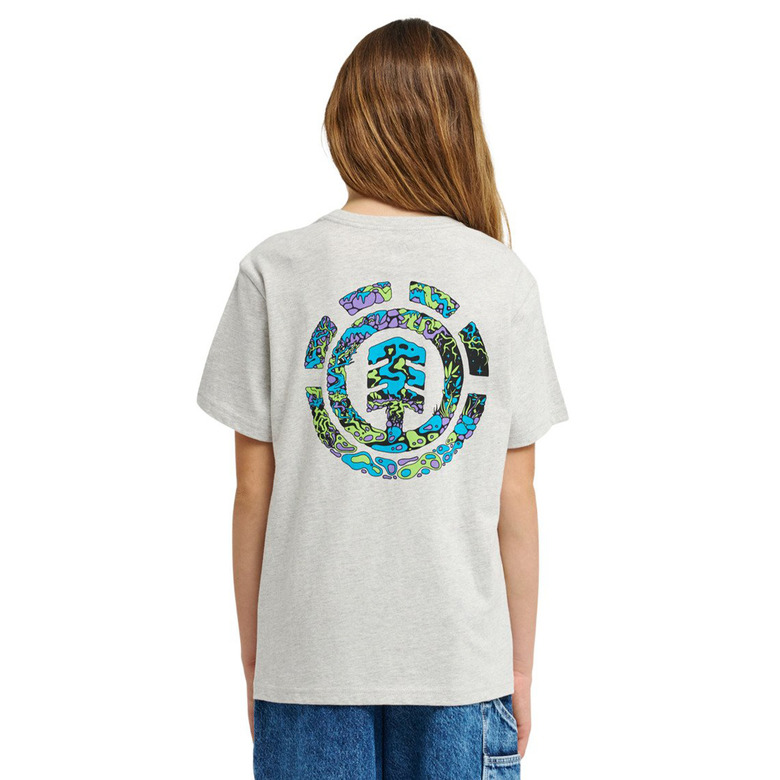 Element t-shirt gris 3