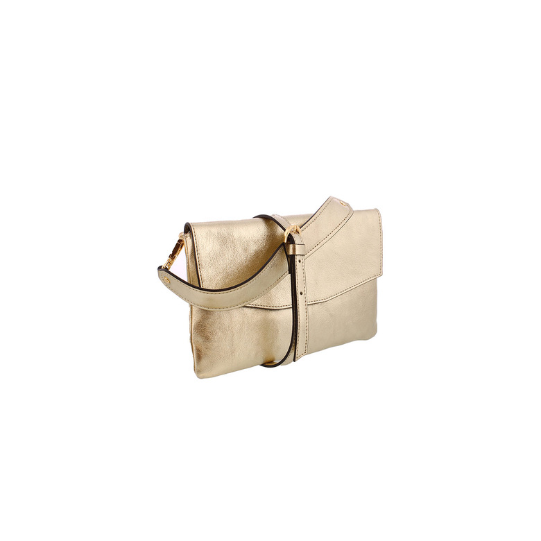 Carol J. handtas goud 2