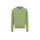 Fynch-hatton pullover grÜn