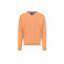 Fynch-hatton pullover orange