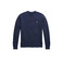 Ralph Lauren sweater blauw 1