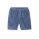 American Vintage short blauw