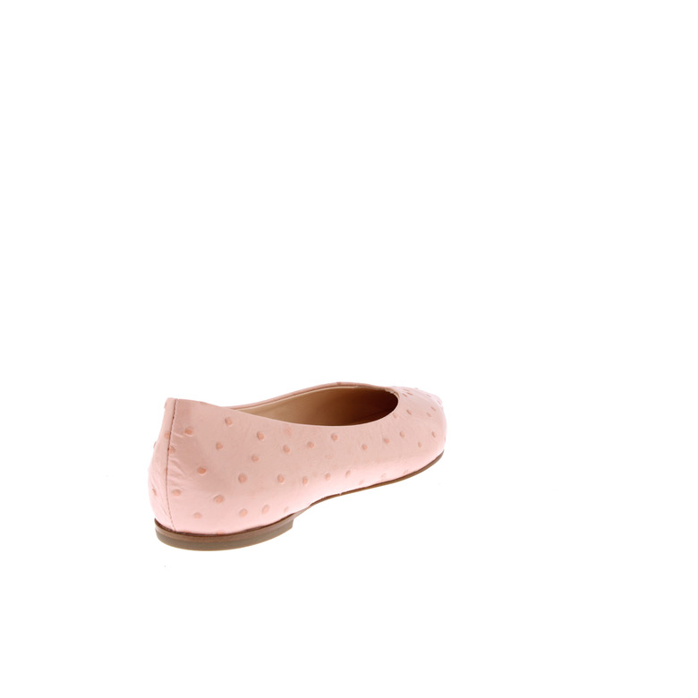Agl ballerinas rosa 4