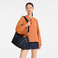 Longchamp crossbody zwart 5