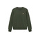 Antwrp sweater green 1