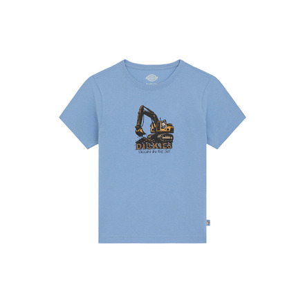 Dickies t-shirts blue