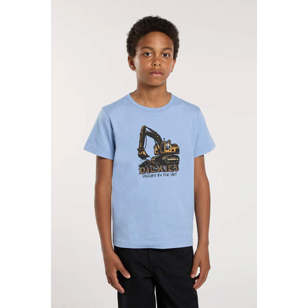 Dickies t-shirts blue