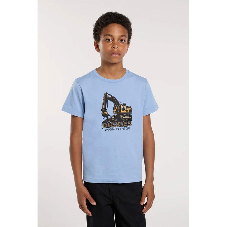 Dickies t-shirts blue 2