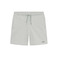 Antwrp short grey 1