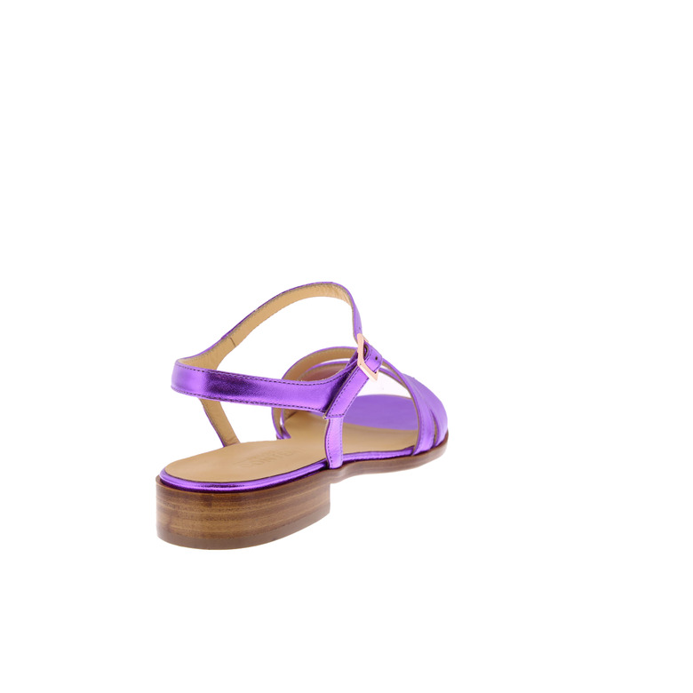 Atelier Content sandalen paars 4