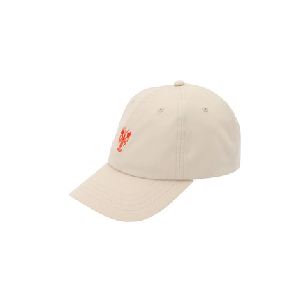 Iriedaily kappe beige