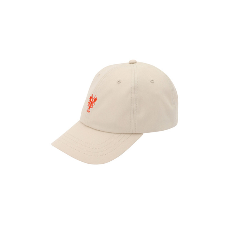 Iriedaily kappe beige 1