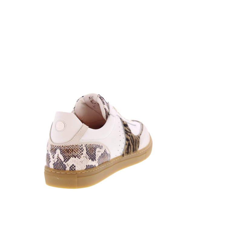 Floris Van Bommel sneakers wit 4