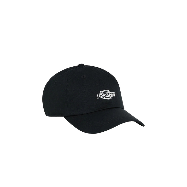 Dickies kappe schwarz 1