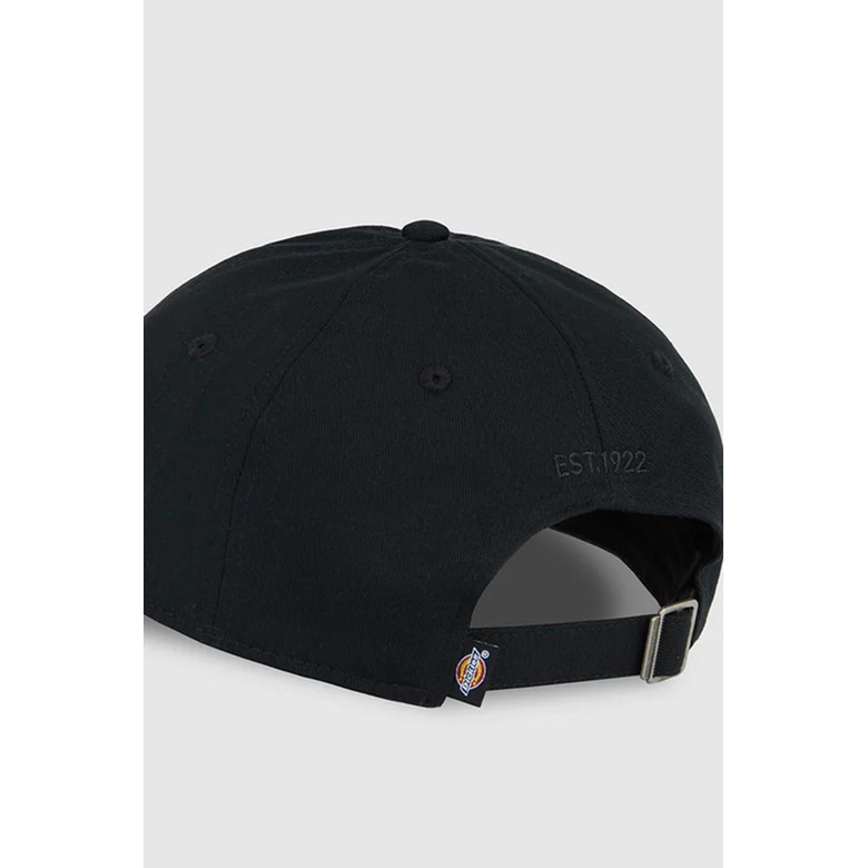 Dickies kappe schwarz 2