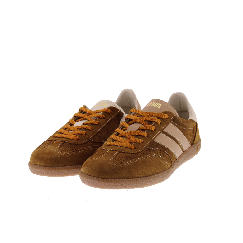 Caval sneakers brun 3