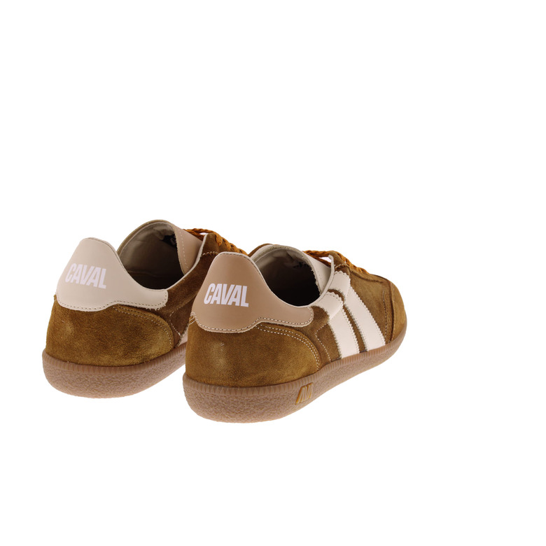 Caval sneakers brun 4