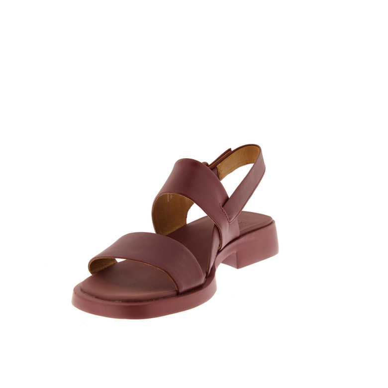 Camper sandalen bordeaux 3