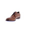 Floris Van Bommel veterschoenen cognac 3